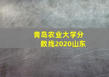 青岛农业大学分数线2020山东