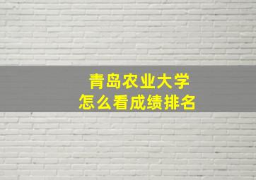 青岛农业大学怎么看成绩排名