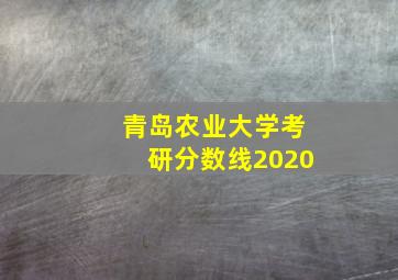 青岛农业大学考研分数线2020