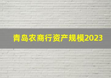 青岛农商行资产规模2023