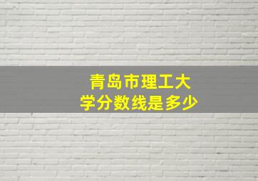 青岛市理工大学分数线是多少