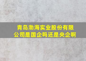 青岛渤海实业股份有限公司是国企吗还是央企啊