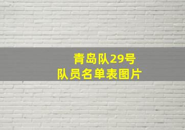 青岛队29号队员名单表图片