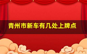 青州市新车有几处上牌点