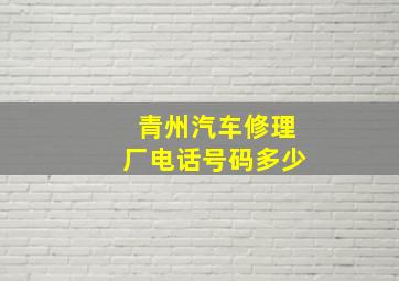 青州汽车修理厂电话号码多少