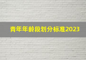 青年年龄段划分标准2023