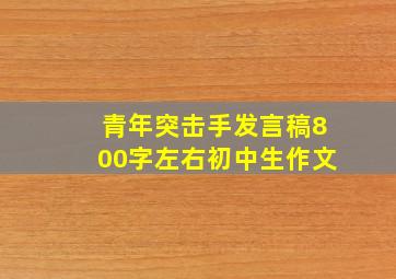 青年突击手发言稿800字左右初中生作文