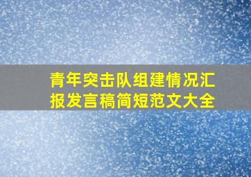 青年突击队组建情况汇报发言稿简短范文大全