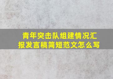 青年突击队组建情况汇报发言稿简短范文怎么写