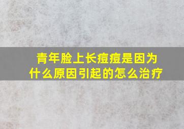 青年脸上长痘痘是因为什么原因引起的怎么治疗