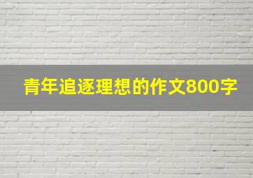 青年追逐理想的作文800字