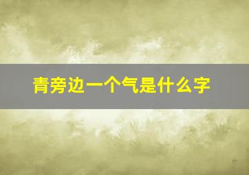 青旁边一个气是什么字