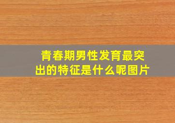 青春期男性发育最突出的特征是什么呢图片