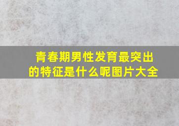 青春期男性发育最突出的特征是什么呢图片大全