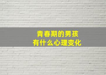 青春期的男孩有什么心理变化