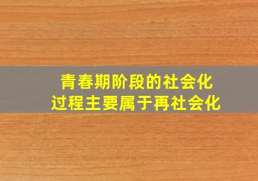 青春期阶段的社会化过程主要属于再社会化