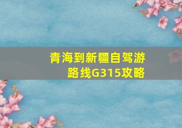 青海到新疆自驾游路线G315攻略