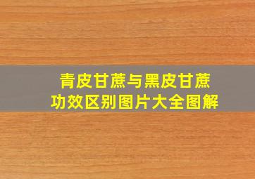 青皮甘蔗与黑皮甘蔗功效区别图片大全图解