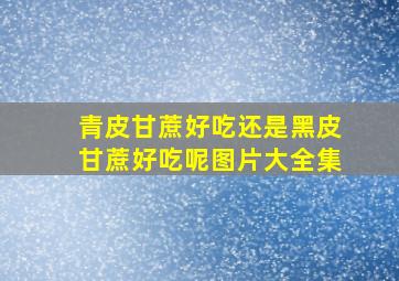 青皮甘蔗好吃还是黑皮甘蔗好吃呢图片大全集