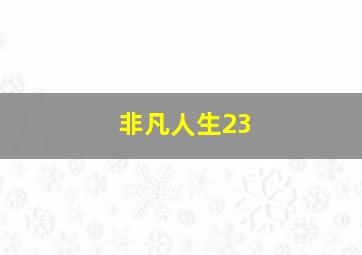 非凡人生23