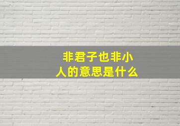 非君子也非小人的意思是什么