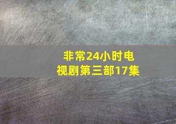 非常24小时电视剧第三部17集