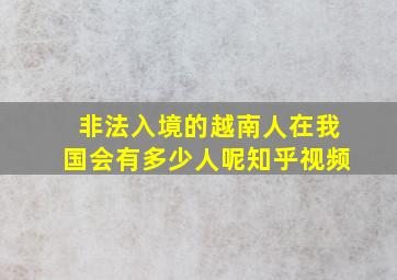 非法入境的越南人在我国会有多少人呢知乎视频