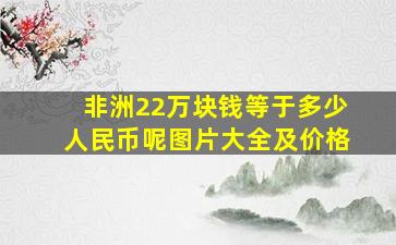 非洲22万块钱等于多少人民币呢图片大全及价格