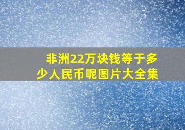 非洲22万块钱等于多少人民币呢图片大全集