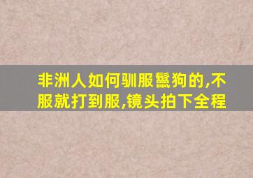 非洲人如何驯服鬣狗的,不服就打到服,镜头拍下全程