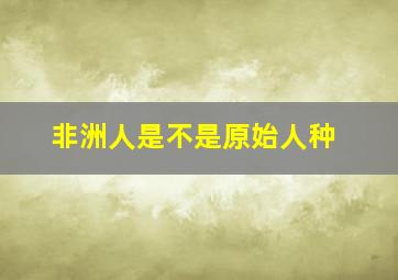 非洲人是不是原始人种