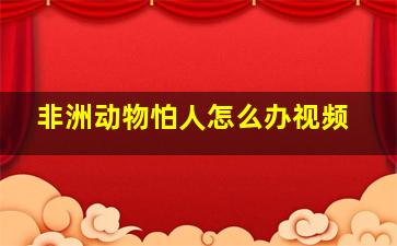 非洲动物怕人怎么办视频