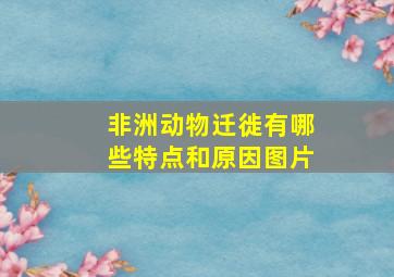 非洲动物迁徙有哪些特点和原因图片