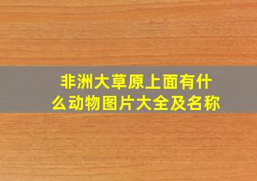 非洲大草原上面有什么动物图片大全及名称