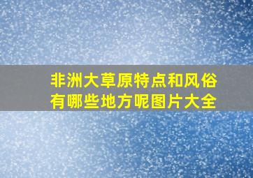 非洲大草原特点和风俗有哪些地方呢图片大全