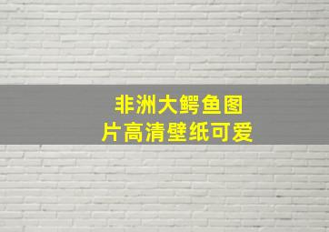 非洲大鳄鱼图片高清壁纸可爱