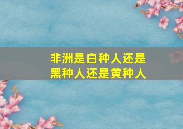 非洲是白种人还是黑种人还是黄种人