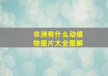 非洲有什么动植物图片大全图解