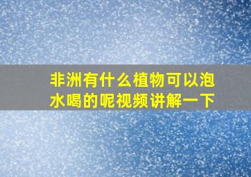 非洲有什么植物可以泡水喝的呢视频讲解一下