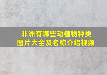 非洲有哪些动植物种类图片大全及名称介绍视频