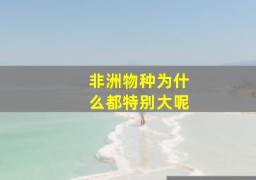 非洲物种为什么都特别大呢