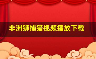 非洲狮捕猎视频播放下载