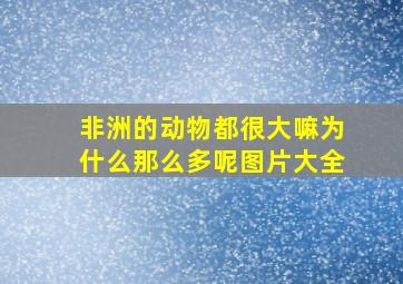 非洲的动物都很大嘛为什么那么多呢图片大全