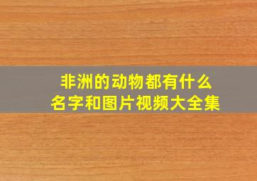 非洲的动物都有什么名字和图片视频大全集