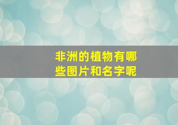 非洲的植物有哪些图片和名字呢