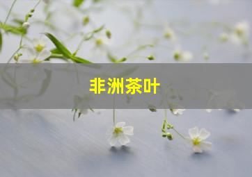 非洲茶叶