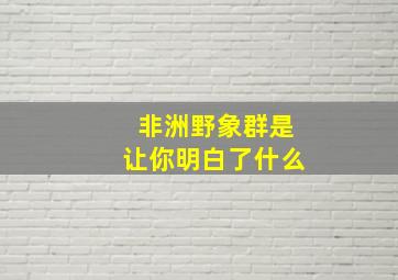 非洲野象群是让你明白了什么