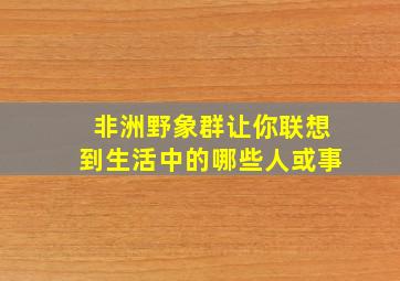 非洲野象群让你联想到生活中的哪些人或事