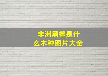 非洲黑檀是什么木种图片大全