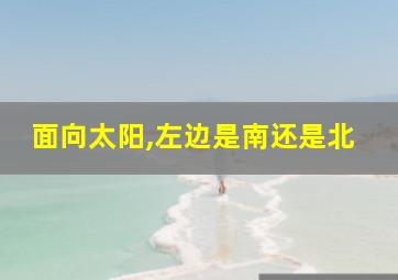 面向太阳,左边是南还是北